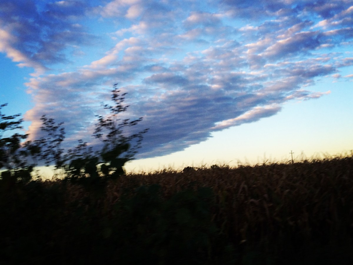 Proiettile con ali di&nbsp;farfalla